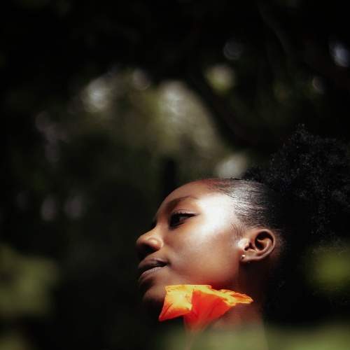 Photo #8233596