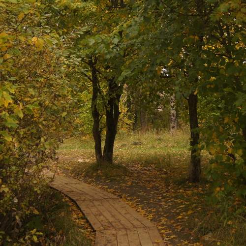 Photo #8233705