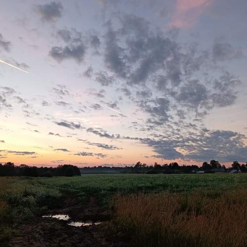 Photo #8233713