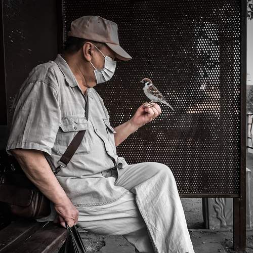 Photo #8233783