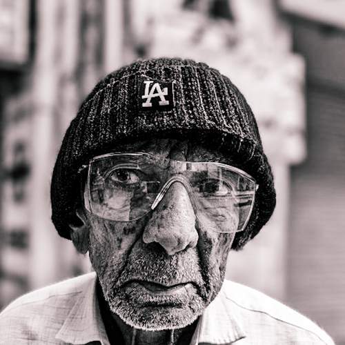 Photo #8233806