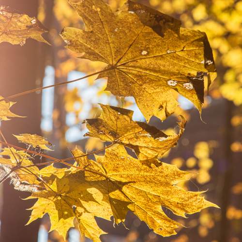 Photo #8233860