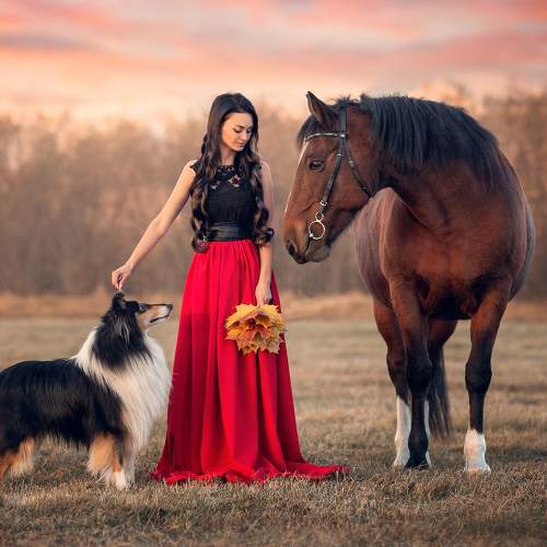 Фотография #8233871