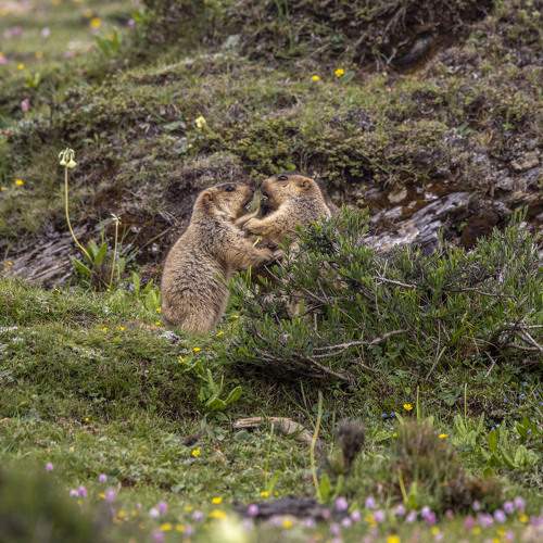 Photo #8234356