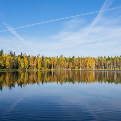 Photo #8234739