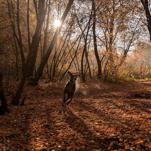 Photo #8234987