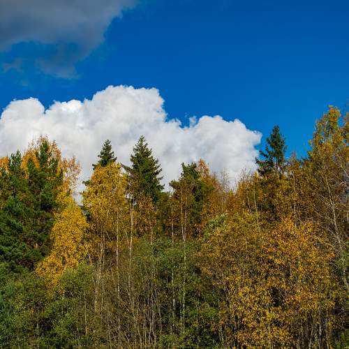 Photo #8235179
