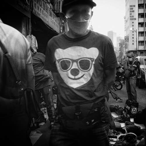 Photo #8235667
