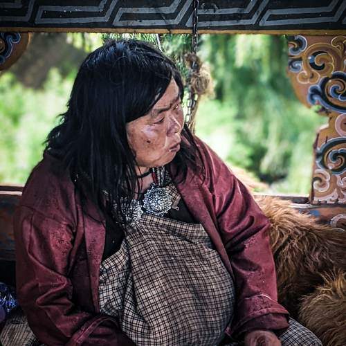 Photo #8235678