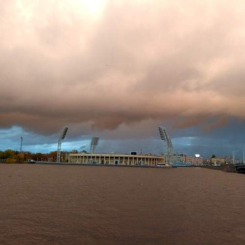 Photo #8236168