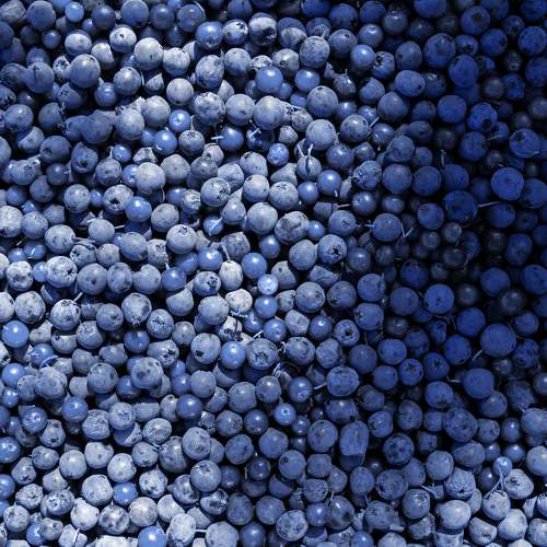 Photo #8236815
