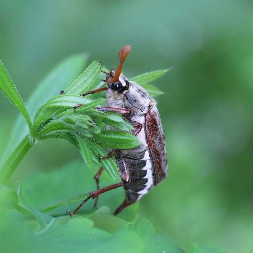 Photo #8236934