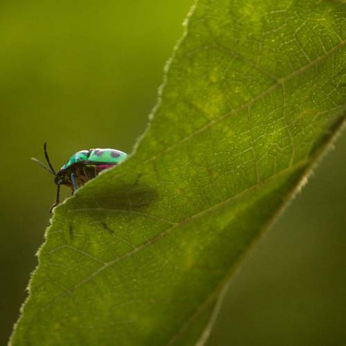 Photo #8236944