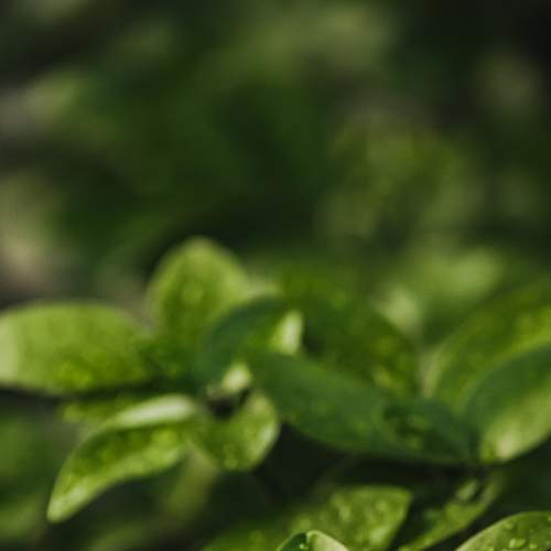 Photo #8236947