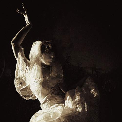 Photo #8236963
