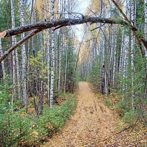 Photo #8237052