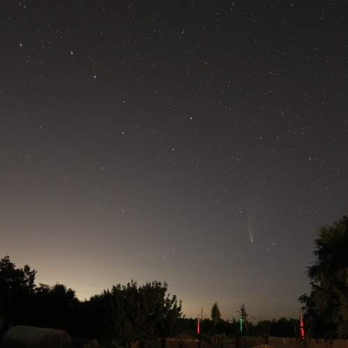 Photo #8237114