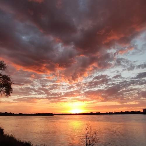 Photo #8237226