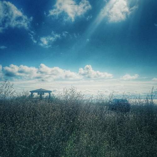 Photo #8237637