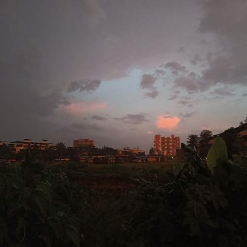Photo #8237897