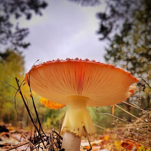 Photo #8238042