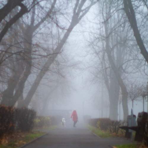 Photo #8238077