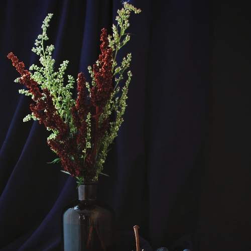 Photo #8238163