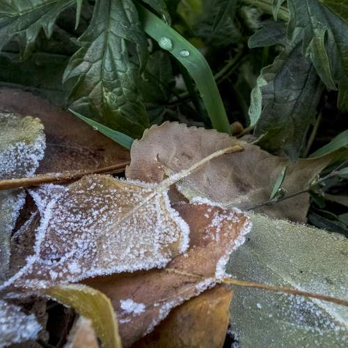 Photo #8238190