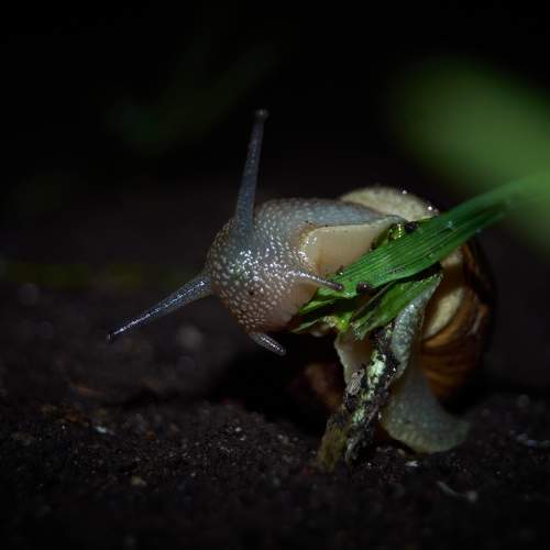 Photo #8238403