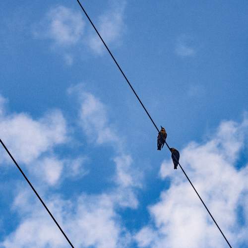 Photo #8238695