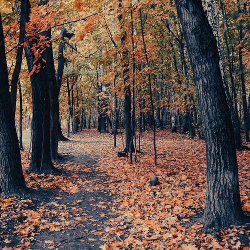 Photo #8238956