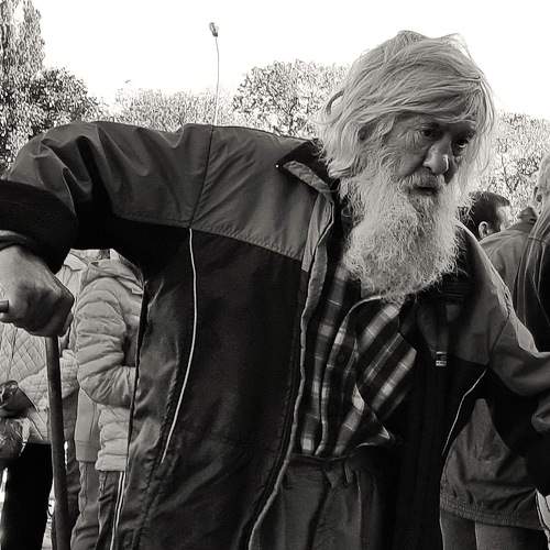 Photo #8239367
