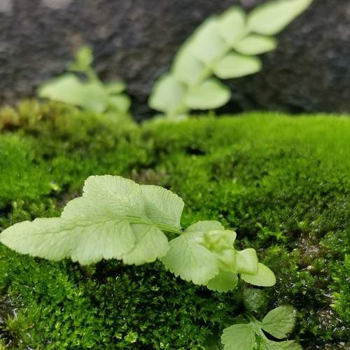 Photo #8239510