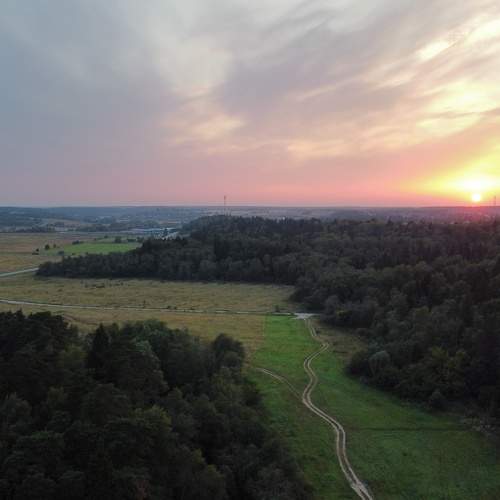 Photo #8239708