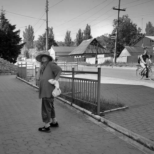 Photo #8239781