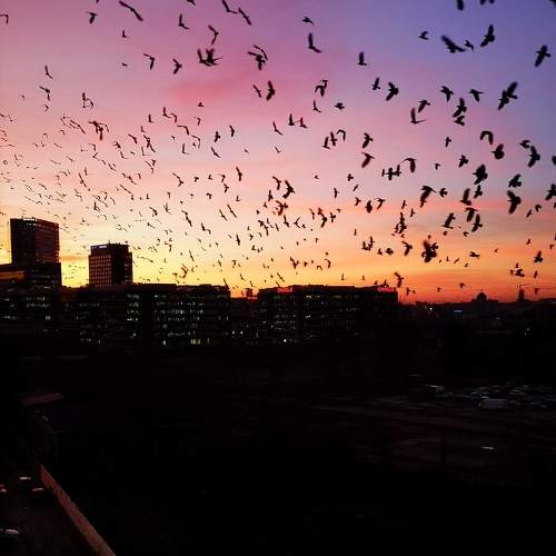Photo #8240400