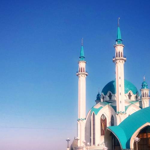 Photo #8240464