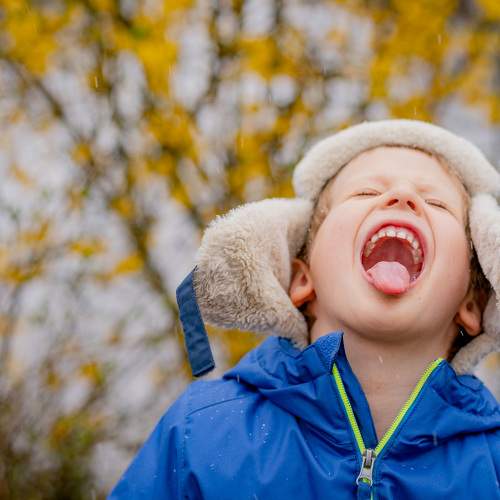 Photo #8240874