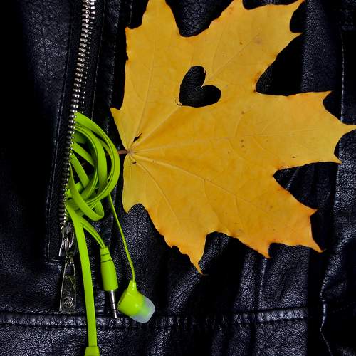 Photo #8240952