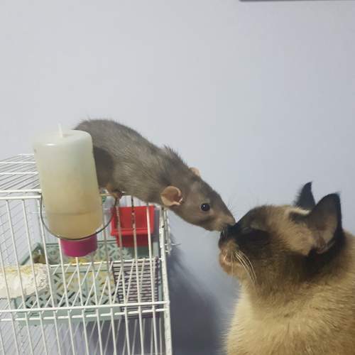Photo #8241044
