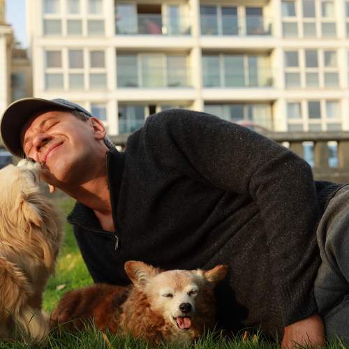 Photo #8241263