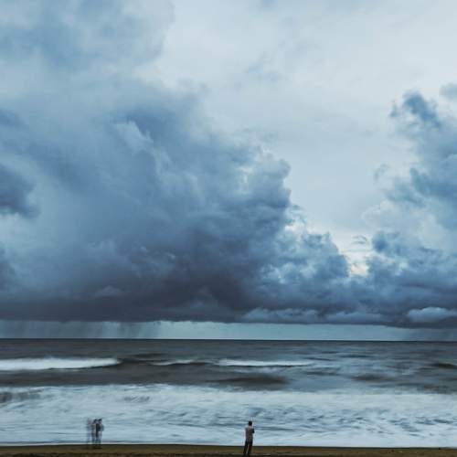 Photo #8241515