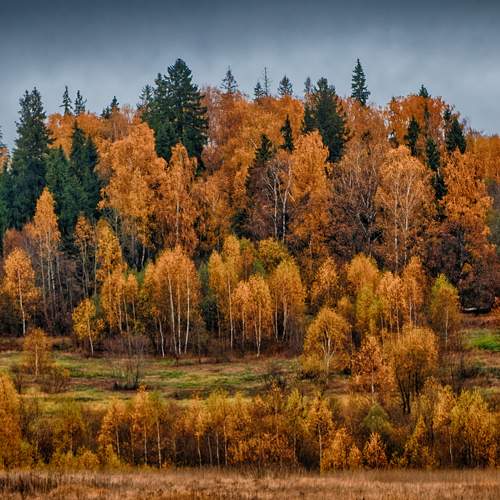 Photo #8241664