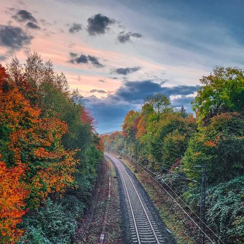 Photo #8241926
