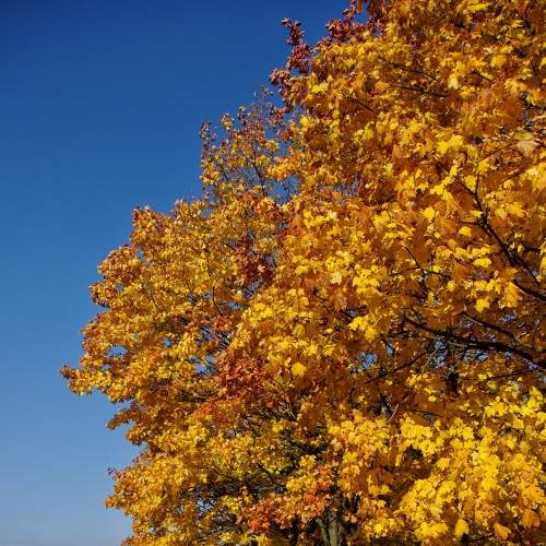 Photo #8242470