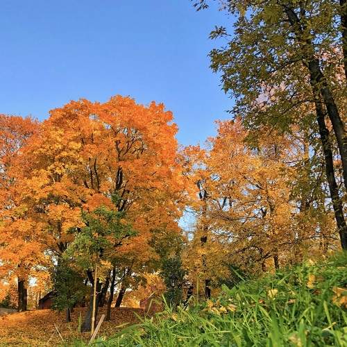 Photo #8242486