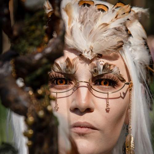 Photo #8242734