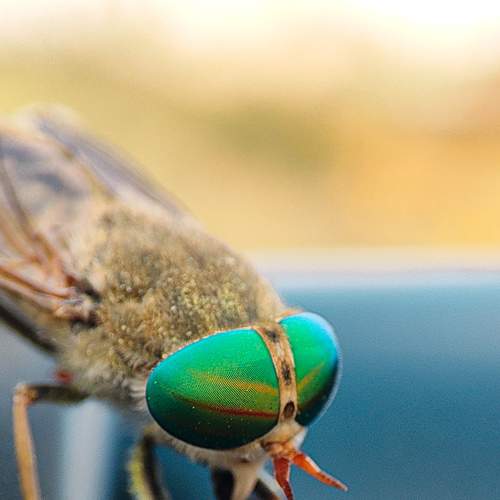 Photo #8243218