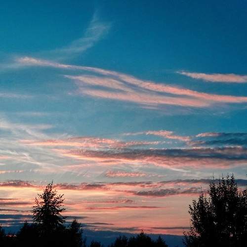 Photo #8243242