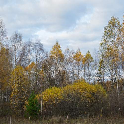 Photo #8243303